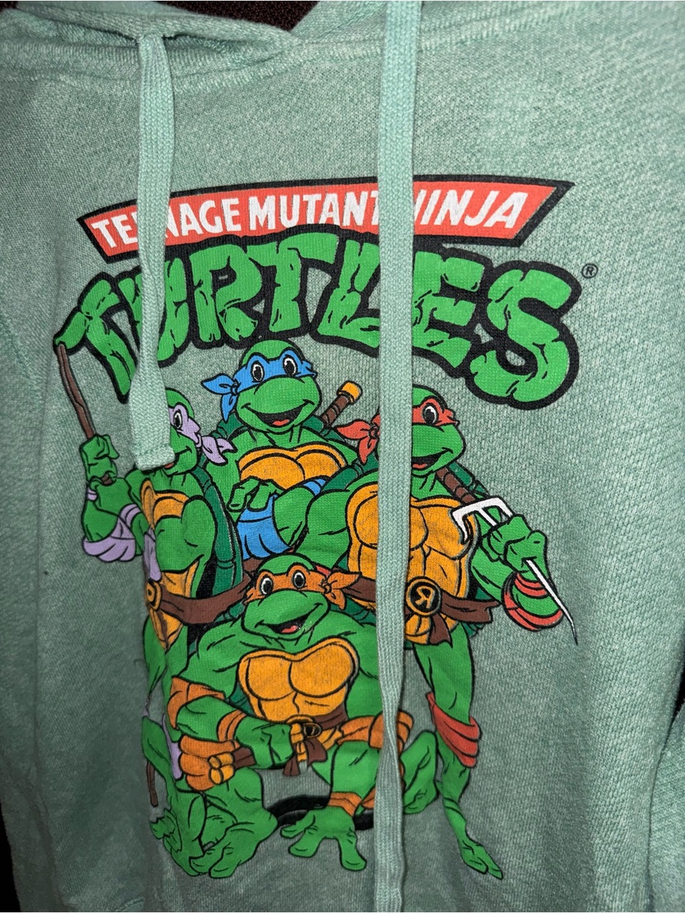 VINTAGE Teenage Mutant Ninja Turtles Graphic Hoodie - Mint Green